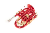 Roy Benson Bb-ficktrumpet Roy Benson PT-101R - PT-101R
