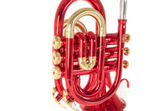 Roy Benson Bb-ficktrumpet Roy Benson PT-101R - PT-101R