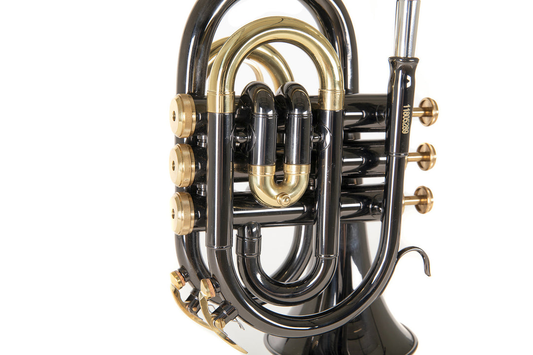 Roy Benson Bb-ficktrumpet Roy Benson PT-101K - PT-101K