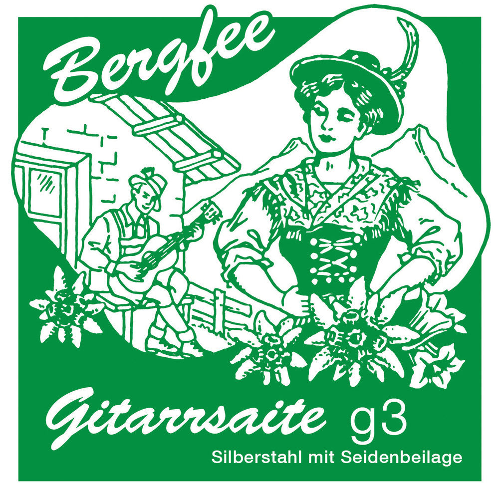 Optima Bergfee G3 .020w westerngitarrsträng, 1763