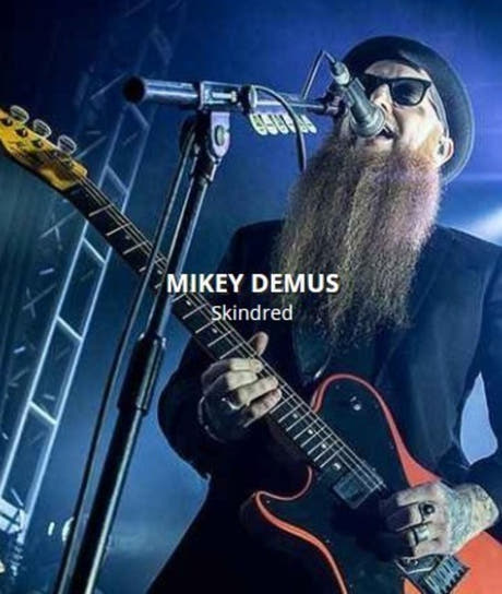 Rotosound MD10 Mikey Demus signaturset för elgitarr 10-54