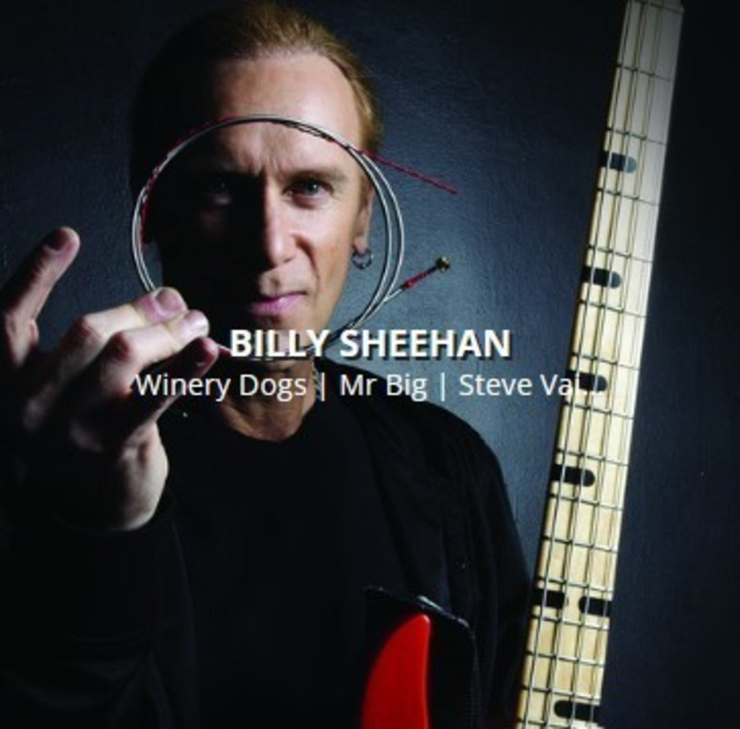Rotosound Elbassträngar Swing Bass 66 - Set 4-strängars Billy Sheehan Custom 43-110 (BS66)