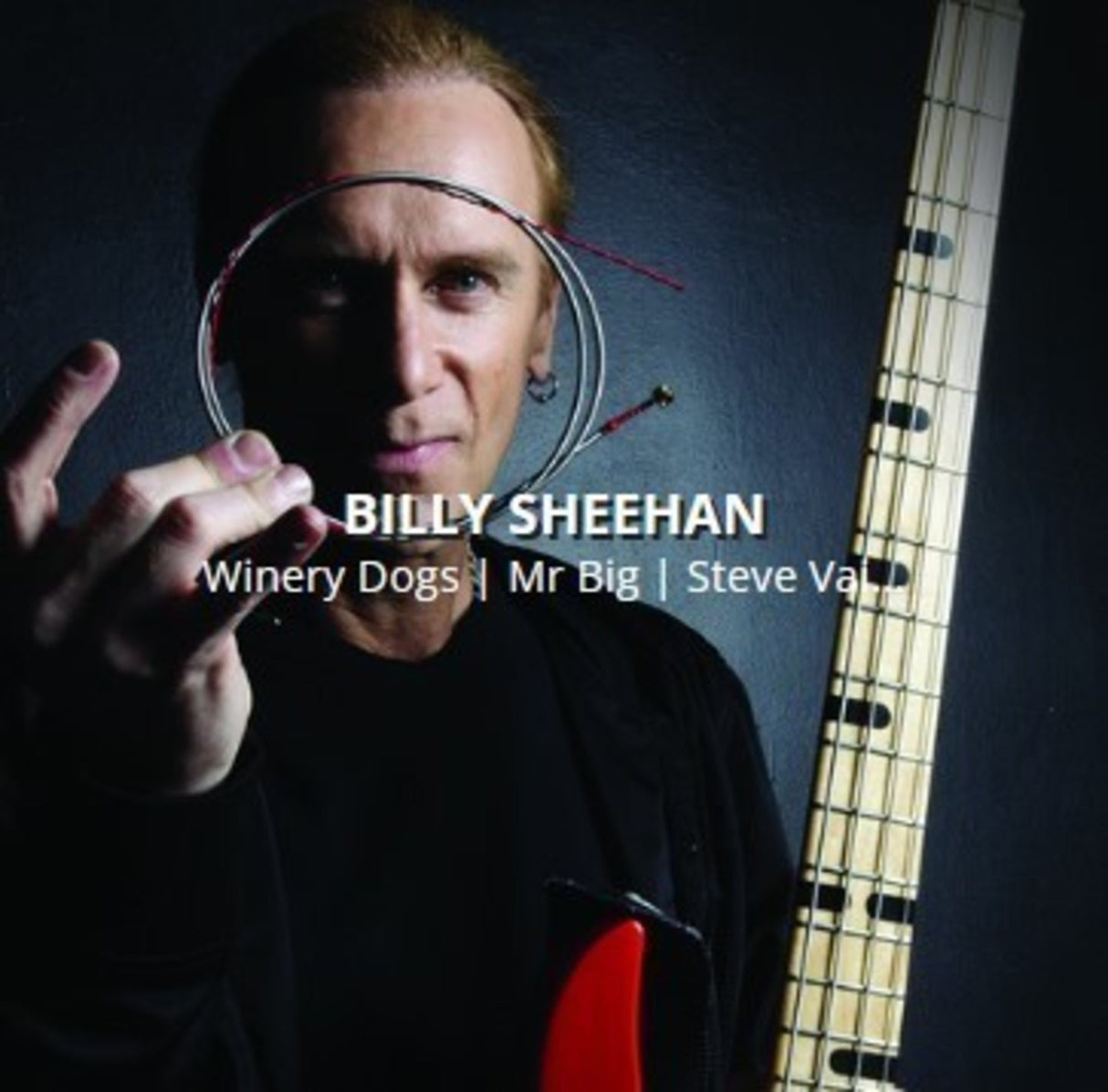 Rotosound Elbassträngar Swing Bass 66 - Set 4-strängars Billy Sheehan Custom 43-110 (BS66)