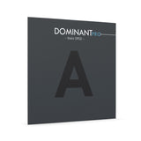 Thomastik-Infeld Violin strings Dominant Pro - A2 Nylon/Alu (DP02)