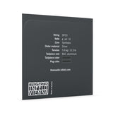 Thomastik-Infeld Strängar för viola DOMINANT PRO - G Synthetic core, Silver (DP23)