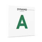 Thomastik-Infeld strängar för viola Dynamo - A stål (DY21)
