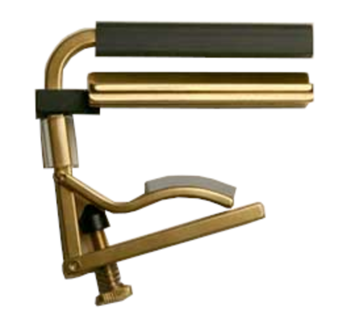 Shubb capo för resonatorgitarrer - Square Neck (C6B)