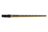 Clarke Sweetone tin whistle i D, guld