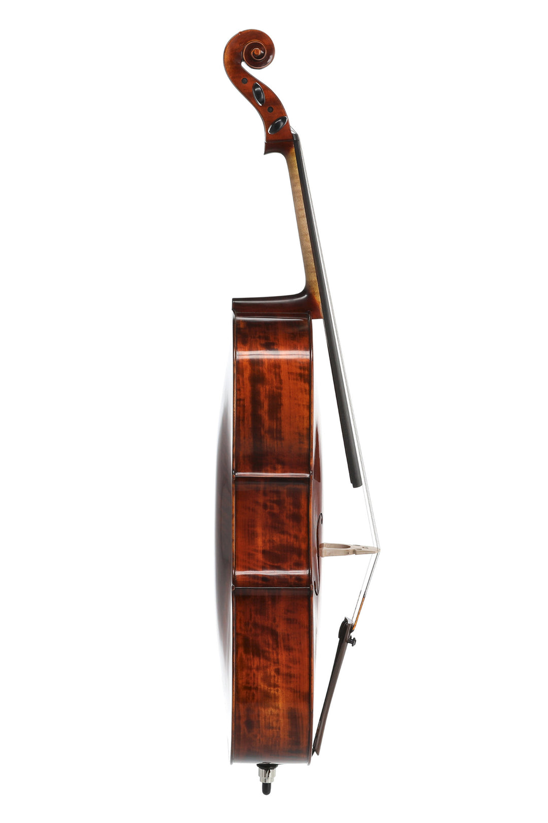 GEWA Concert cello Georg Walther - 4/4 (Set up)