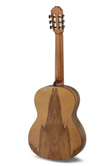 Caballero by MR Principio Series P Olive CA-PMO 120 - oliv (CA-PMO 120)