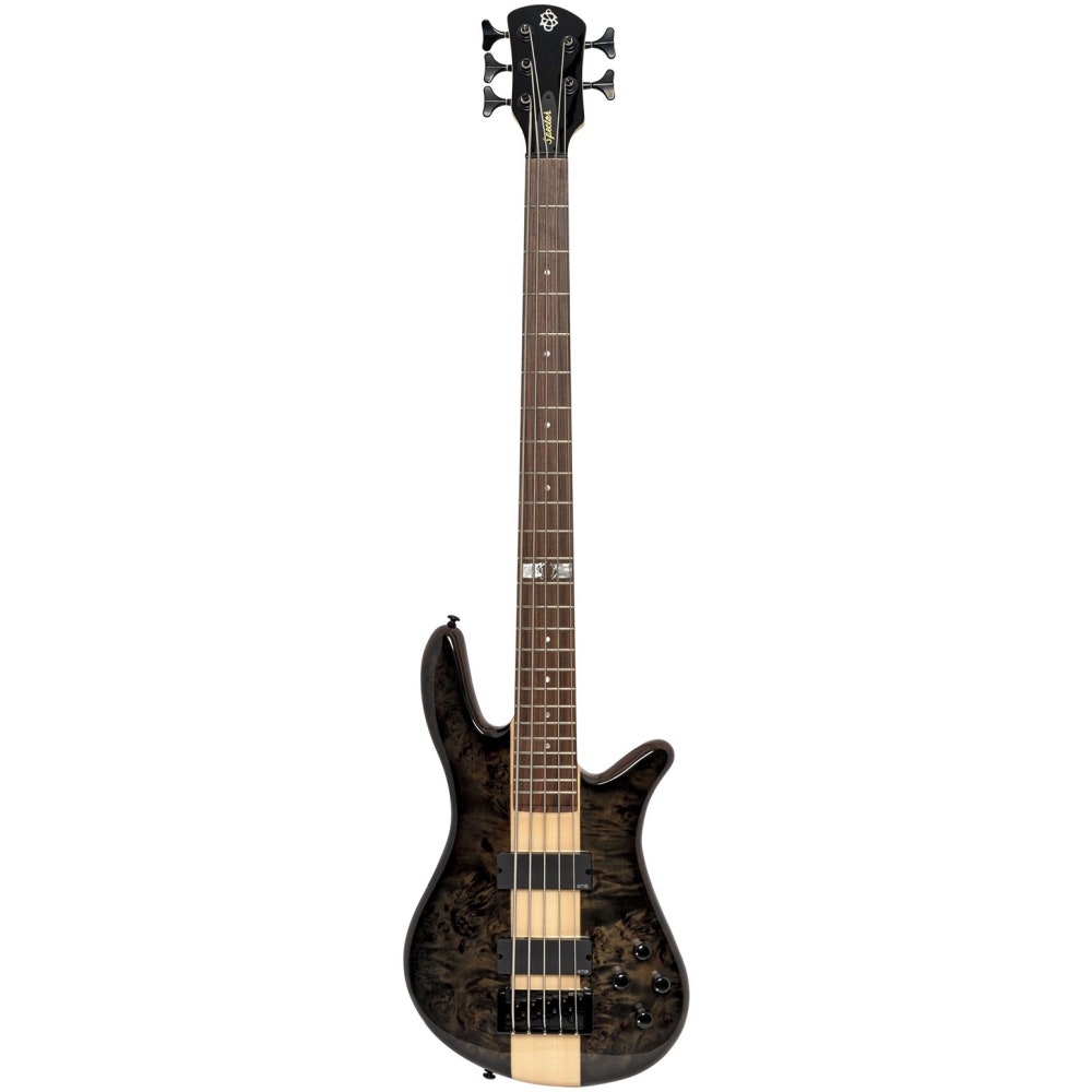Spector Legend Dan Briggs, Natural blank