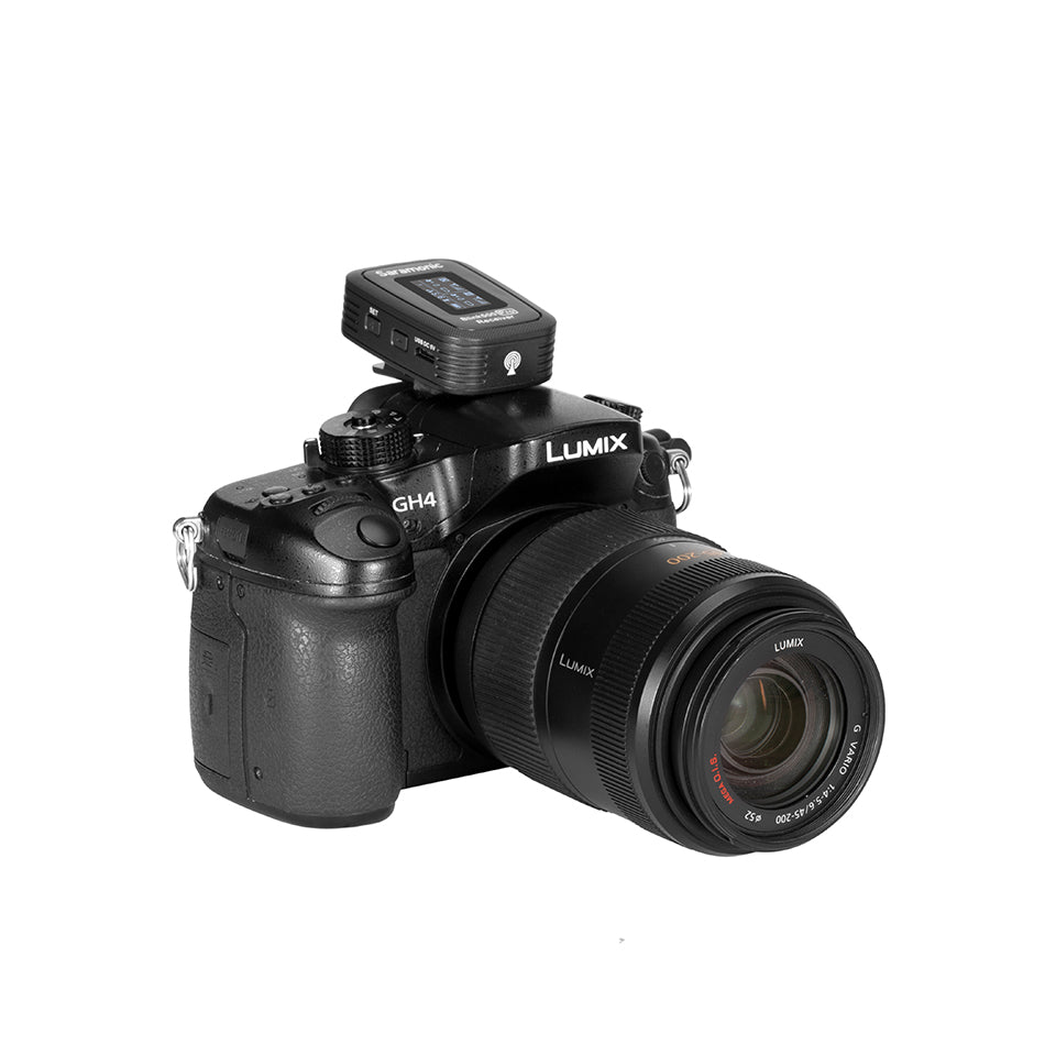 Blink 500 Pro RX-mottagare (TRS)