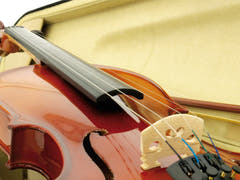 DiMavery Violin 4/4 med pilbåge och fodral