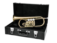 DiMavery FH-310D Bb Flugelhorn 