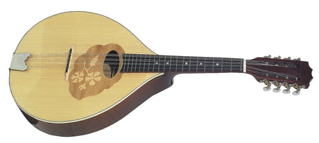 GEWA Mandola Pro Arte - Högblank