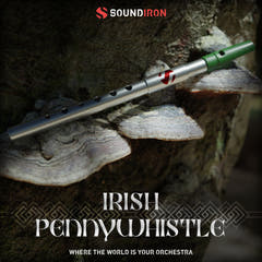Iron Pack 11 - Irländsk Penny Whistle