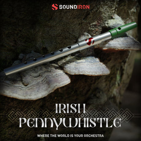 Iron Pack 11 - Irländsk Penny Whistle