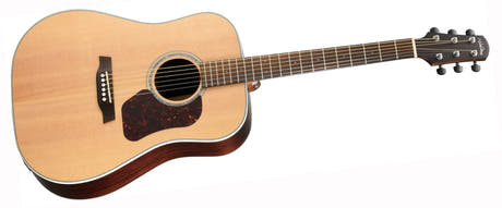 Walden D800EW Western gitarr (naturlig)