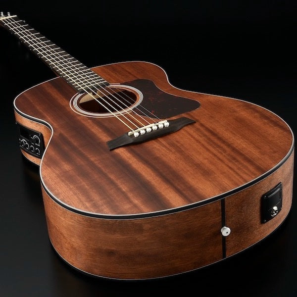 Walden G551EW västerländsk gitarr (naturlig)