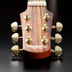 Walden G630CEW Western gitarr (naturlig)