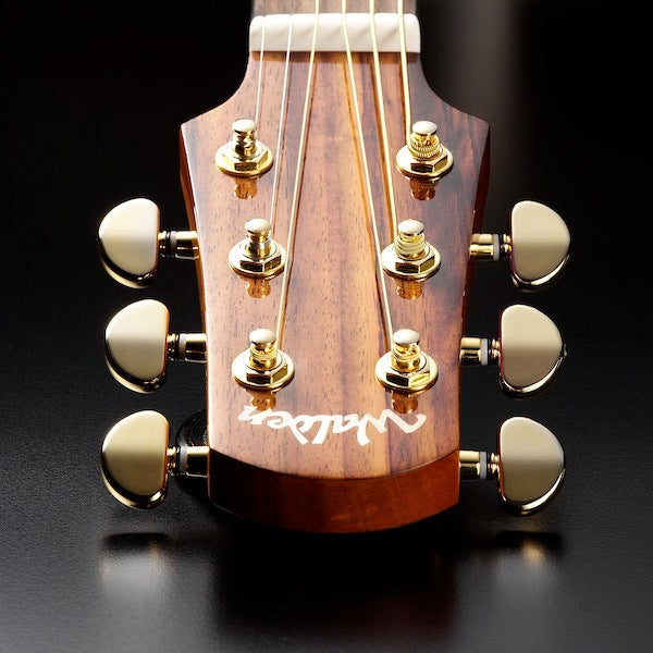 Walden G630CEW Western gitarr (naturlig)