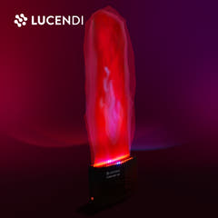 Firefog FLAME LIGHT 100 LED flam-effekt