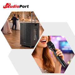 Audioport V15 transportabel Aktiv högtalare 500 W med 2 mikrofoner