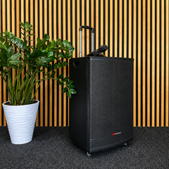 Audioport V15 transportabel Aktiv högtalare 500 W med 2 mikrofoner