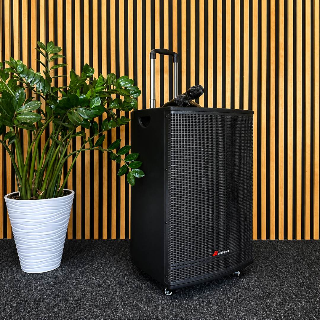 Audioport V15 transportabel Aktiv högtalare 500 W med 2 mikrofoner