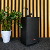 Audioport V15 transportabel Aktiv högtalare 500 W med 2 mikrofoner