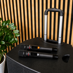 Audioport V15 transportabel Aktiv högtalare 500 W med 2 mikrofoner
