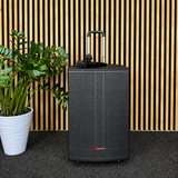 Audioport V15 transportabel Aktiv högtalare 500 W med 2 mikrofoner
