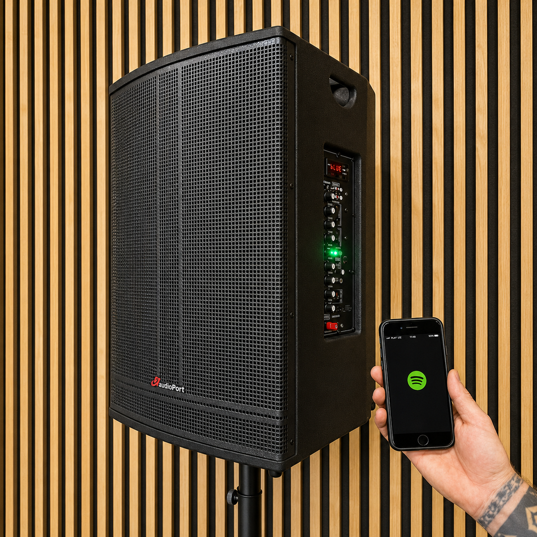 Audioport V15 transportabel Aktiv högtalare 500 W med 2 mikrofoner