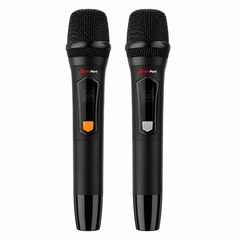 Audioport V15 transportabel Aktiv högtalare 500 W med 2 mikrofoner