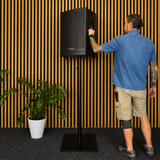 Audioport V15 transportabel Aktiv högtalare 500 W med 2 mikrofoner