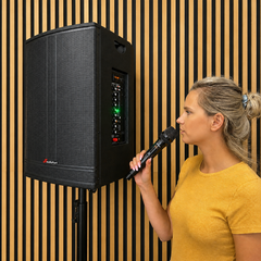 Audioport V15 transportabel Aktiv högtalare 500 W med 2 mikrofoner