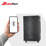Audioport V15 transportabel Aktiv högtalare 500 W med 2 mikrofoner
