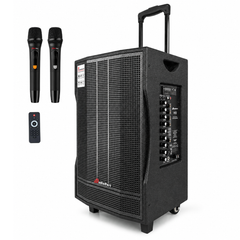 Audioport V12 transportabel aktiv högtalare 350 W med 2 mikrofoner