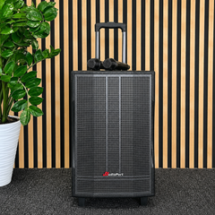 Audioport V12 transportabel aktiv högtalare 350 W med 2 mikrofoner