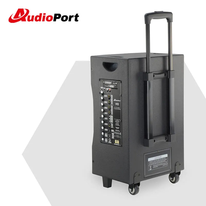 Audioport V12 transportabel aktiv högtalare 350 W med 2 mikrofoner