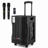 Audioport V8 transportabel aktiv högtalare 250 W med 2 mikrofoner