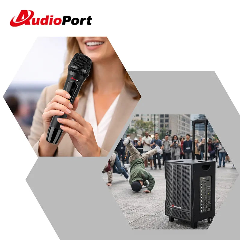 Audioport V8 transportabel aktiv högtalare 250 W med 2 mikrofoner