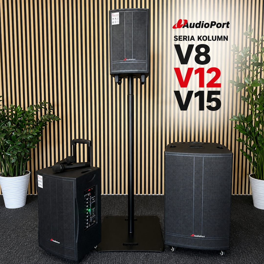 Audioport V8 transportabel aktiv högtalare 250 W med 2 mikrofoner