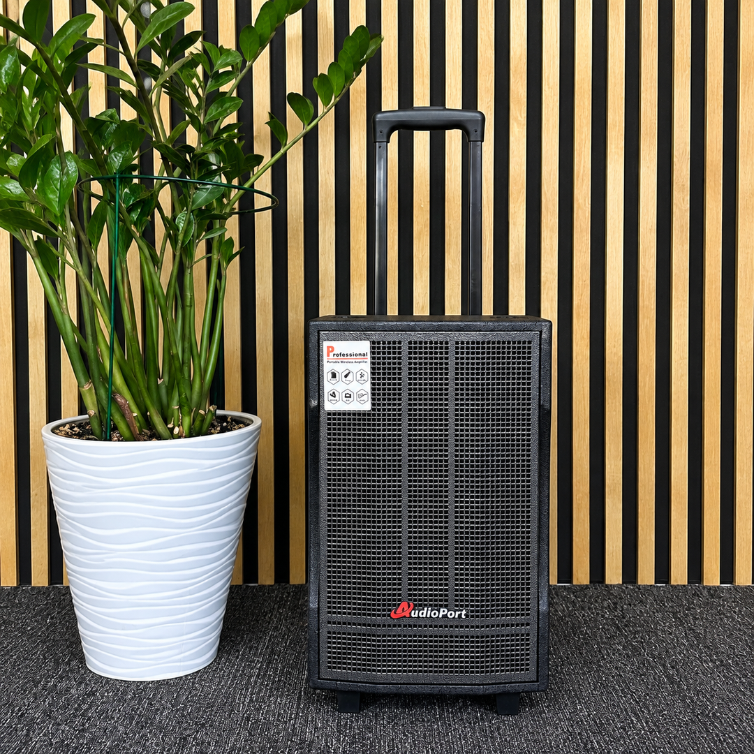Audioport V8 transportabel aktiv högtalare 250 W med 2 mikrofoner