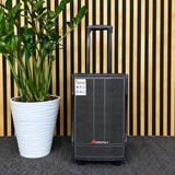 Audioport V8 transportabel aktiv högtalare 250 W med 2 mikrofoner