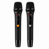 Audioport V8 transportabel aktiv högtalare 250 W med 2 mikrofoner