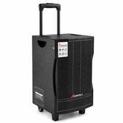 Audioport V8 transportabel aktiv högtalare 250 W med 2 mikrofoner