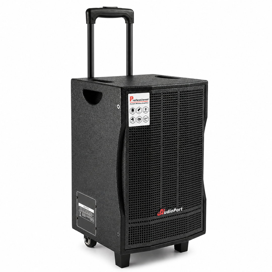 Audioport V8 transportabel aktiv högtalare 250 W med 2 mikrofoner