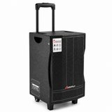 Audioport V8 transportabel aktiv högtalare 250 W med 2 mikrofoner