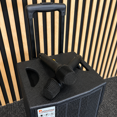 Audioport V8 transportabel aktiv högtalare 250 W med 2 mikrofoner